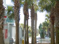 Side yard - Find dog friendly vacation rentals in Santa Rosa Beach Florida